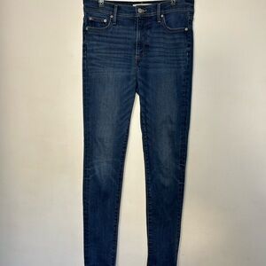 Denim Forum the Nico mid-rise Skinny Jeans